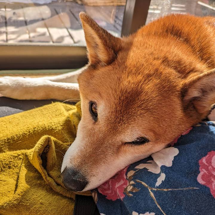 D2d54c86 409c 4d79 aba6 64074a07ebdb 1707386340409