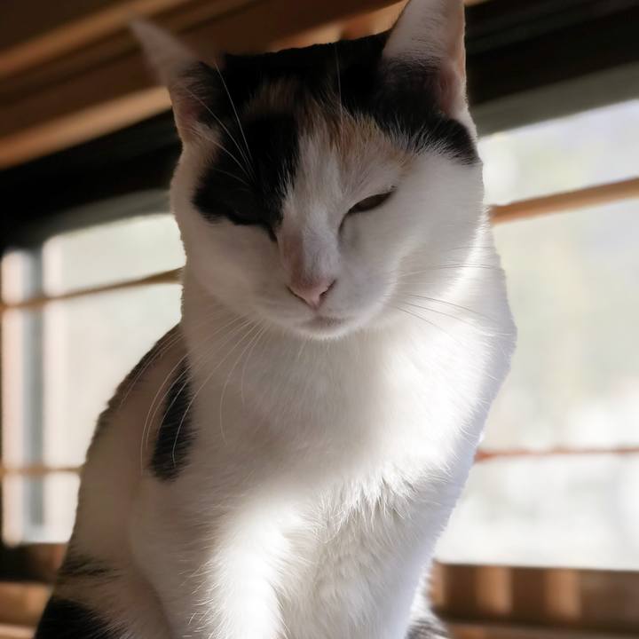 D2d57583 3c4d 4880 8239 53d627ea405b 1510843194525