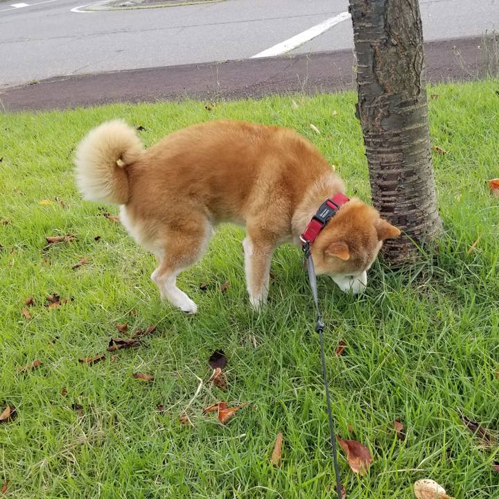 D2d58f29 011a 4964 b216 5943d98a4b74 1725347673720