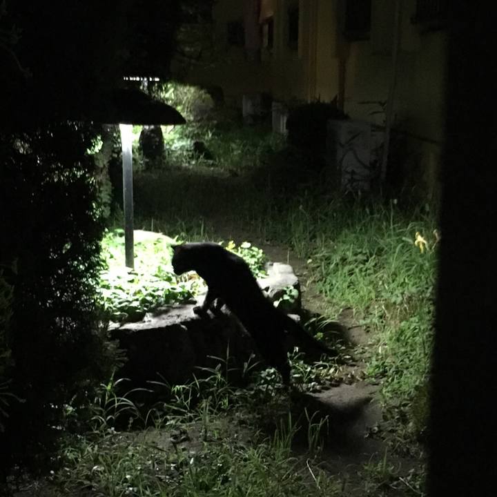 D2d59e29 9528 4b13 9db2 3a47cf2432de 1533445622771