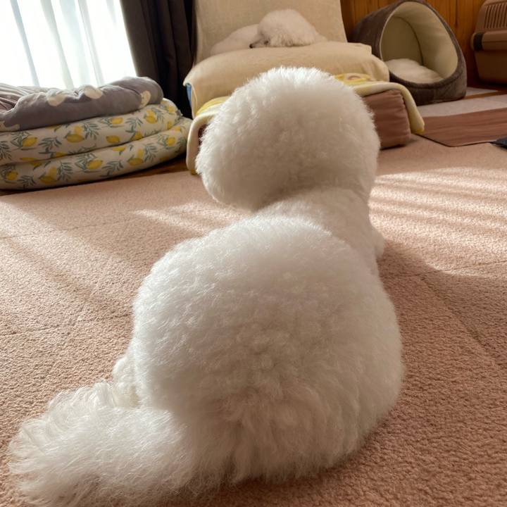 D2d5adf5 5d65 46b2 aaa8 a486d2b2de75 1665702085427