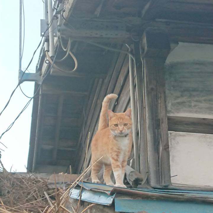 D2d5d32f 0aca 4058 81de 6bb511a9025f 1592299498068