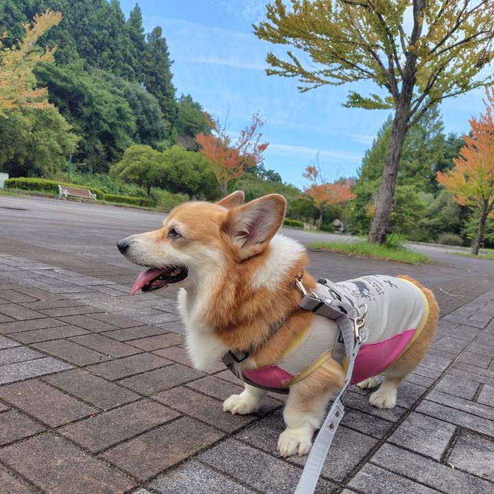 D2d5e50d 2e82 4ed1 b431 7cc9c48cd343 1758462731170