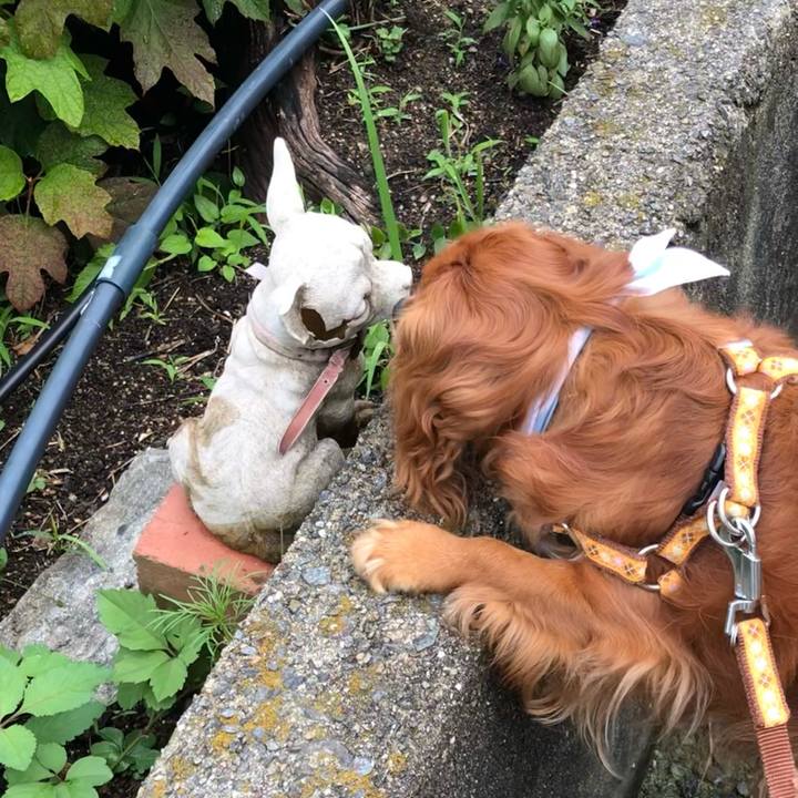 D2d603cb 65f2 493f 90e5 b7acd38fe244 1625271306881