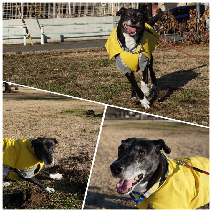 D2d63c7e 9109 487c 9bfe ea08e47771d7 1766968957327