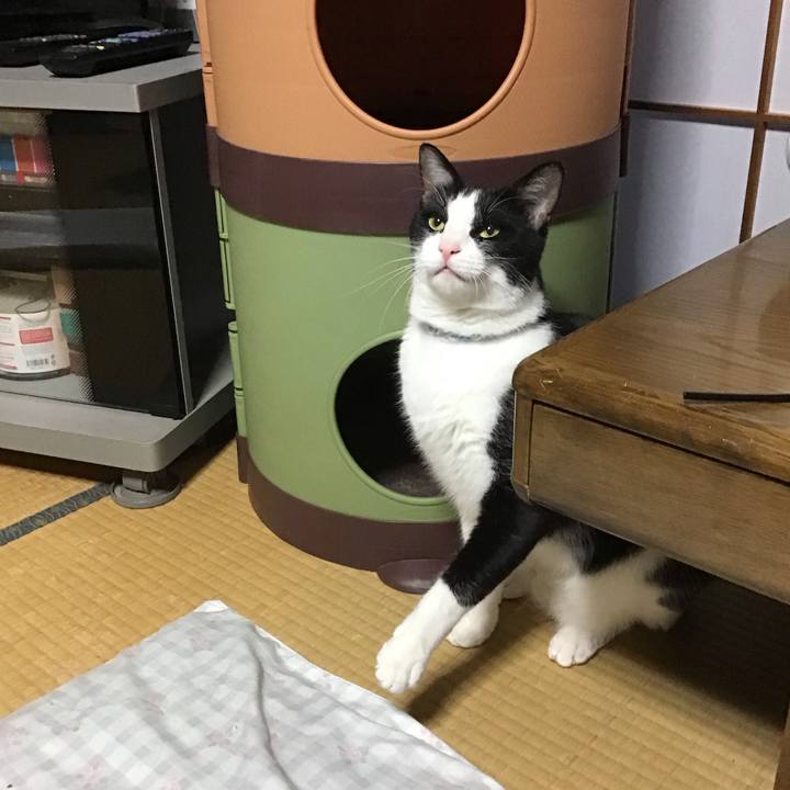 D2d64fe9 67c1 40af b9cf 8cc29c659bcb 1689679674099