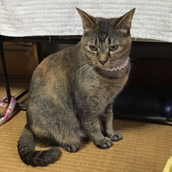 D2d6576a 6006 486e 900b 1eff4b3e6595 1650782370742