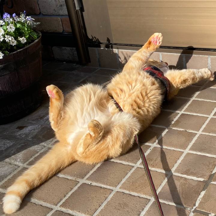 D2d66d36 30a8 43e3 8e29 4a6462a1fa87 1641512457140