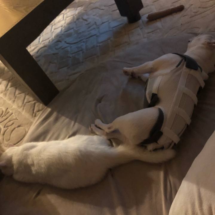 D2d683a9 3071 48d1 8e3d f08c54b041a6 1565276252466