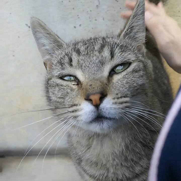 D2d6a4dc 5f32 41f7 9f64 a131fc1da0f6 1529748710778