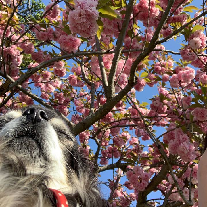 D2d6a753 d348 4a48 badc 768f8dba5246 1557037777250