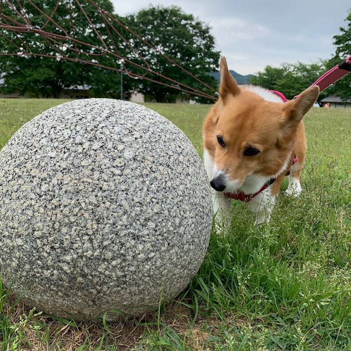 D2d6d559 4c89 4b40 839f 1299b90d2e11 1715481660764