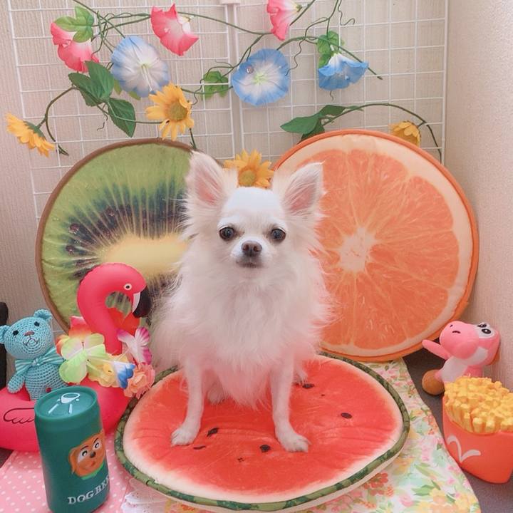 D2d7441f 6542 4a16 9250 e1dd4b67ae49 1566036107039