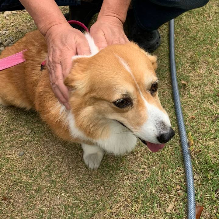 D2d76905 602a 4b40 9bc5 141a810aa16e 1682903972571