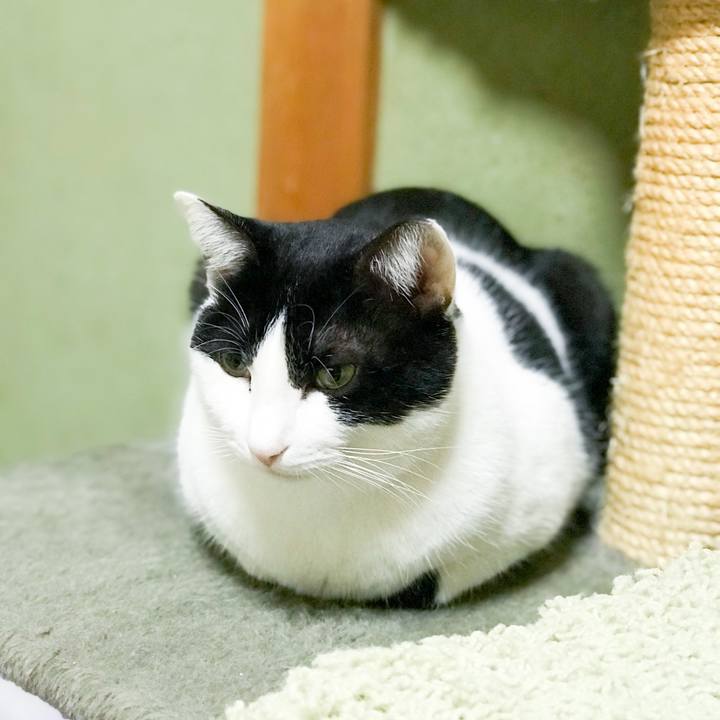 D2d77757 663a 470b 9f0e 9d148ac4945f 1515458725908