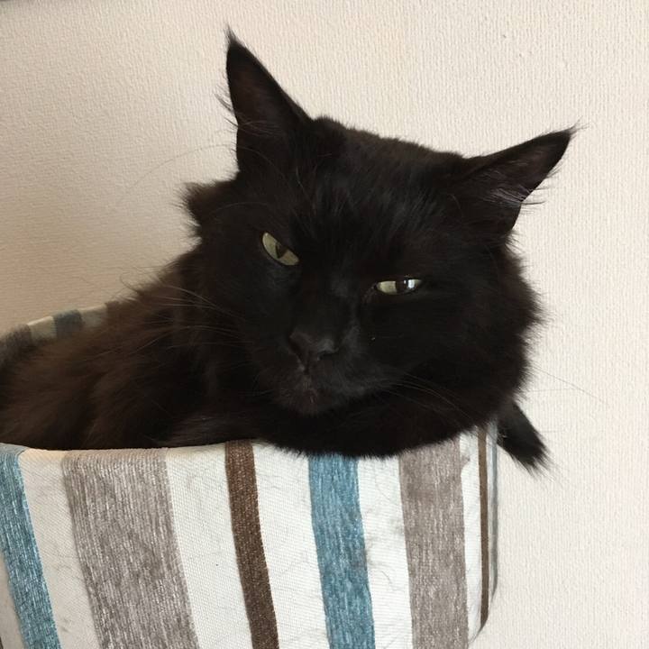 D2d79e1c c219 4890 a65b 66be47ef4dbc 1523412223437