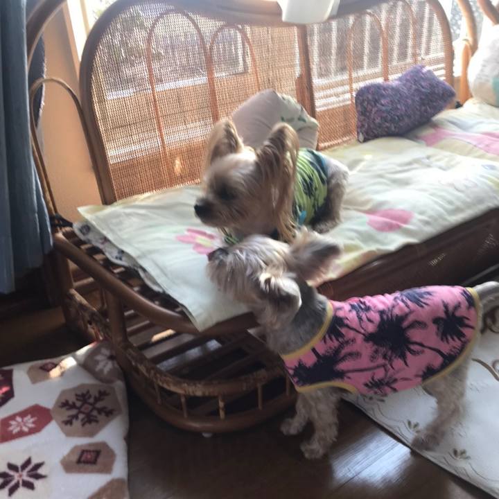 D2d7b265 916b 4466 aa3f ba14a6083e8f 1586423412687