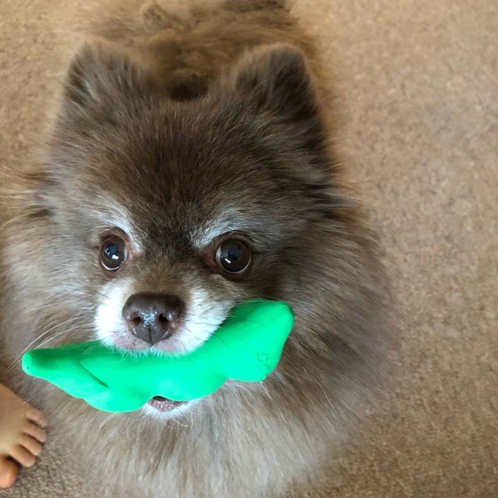 D2d80020 0c20 4755 9c17 cd93784aa8b8 1610668726767