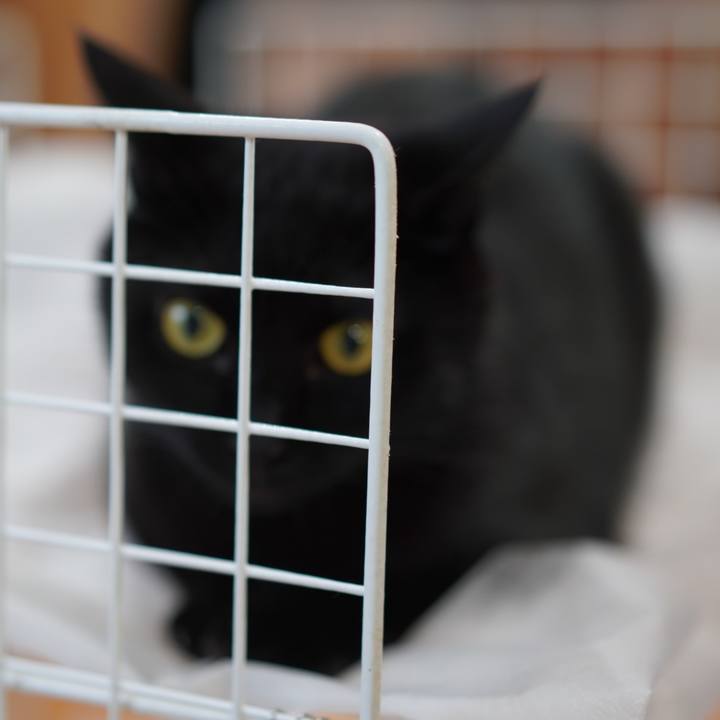 D2d80b90 acb7 40fc b9e0 2c2d3ff487c4 1627222562988