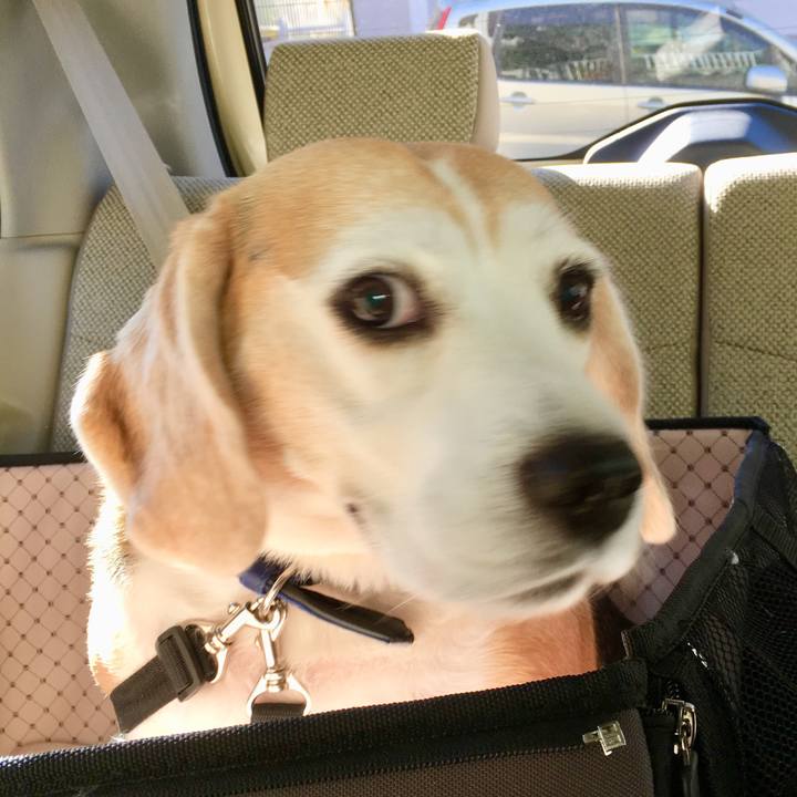 D2d83c30 2135 4c6c 9f57 63269689b262 1542425815966