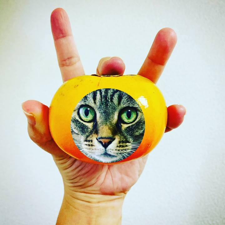 D2d84df3 23d7 4ed8 89d9 417afc2a3543 1570546622423