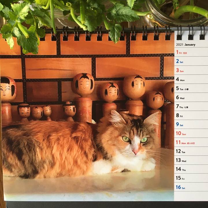 D2d86874 1ffd 4c50 a781 68cc7689d799 1610265292578