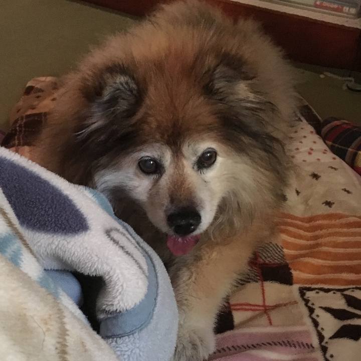 D2d871cc 3702 41b0 b210 47b9c082fe52 1576237099618