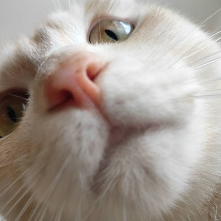 D2d8726c 72be 4549 80c6 24789fac115f 1674888090971