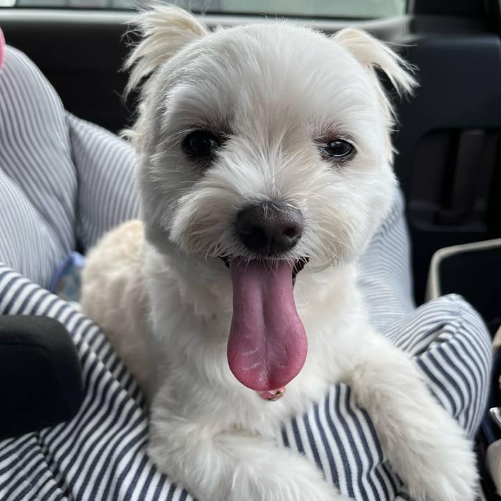 D2d8bd67 7575 4857 8129 7d3e9e40f00e 1661403131112