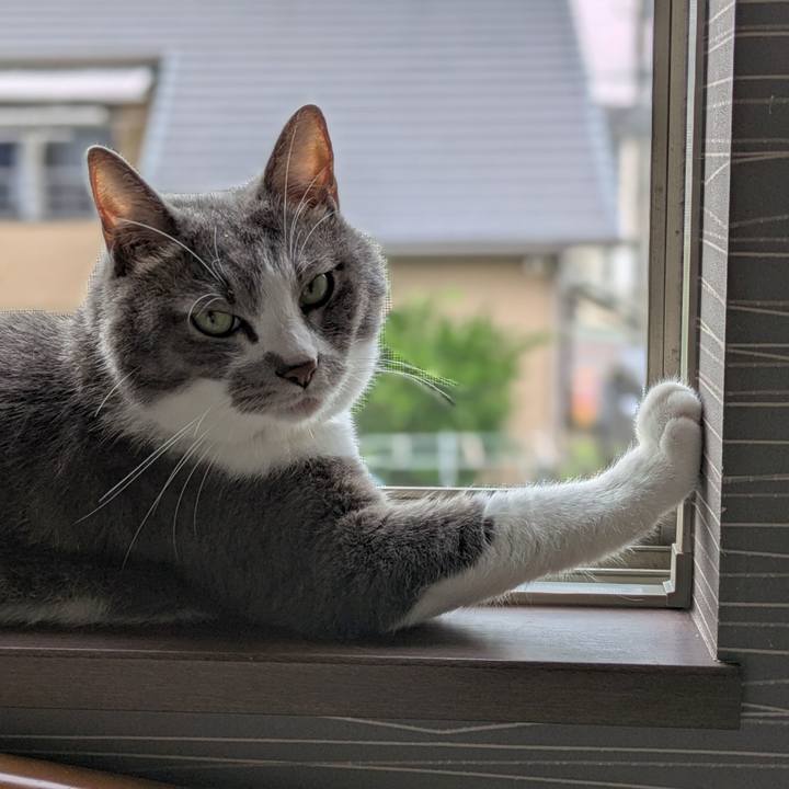 D2d8bd7e 83da 4f76 b813 f554f7c2f8ea 1726903256731