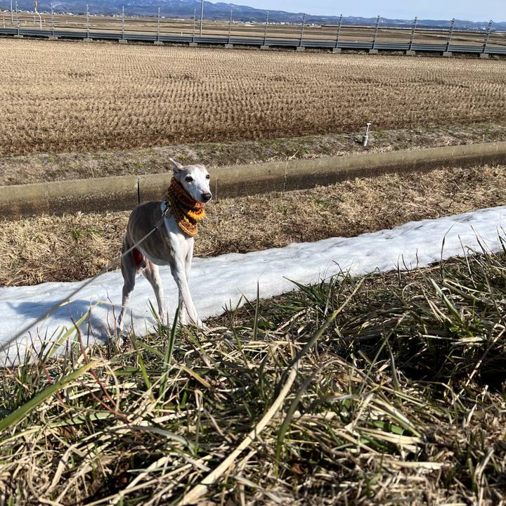 D2d8cae4 ea10 4626 9608 ab29f2d21f45 1773389629328