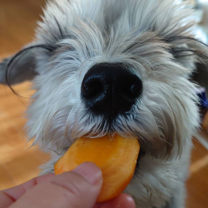 D2d8e413 cf12 4c1f af7b a367ef886851 1764975950296