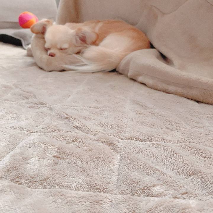 D2d8fd6e 94ff 4f61 abc7 299160340915 1618988278958