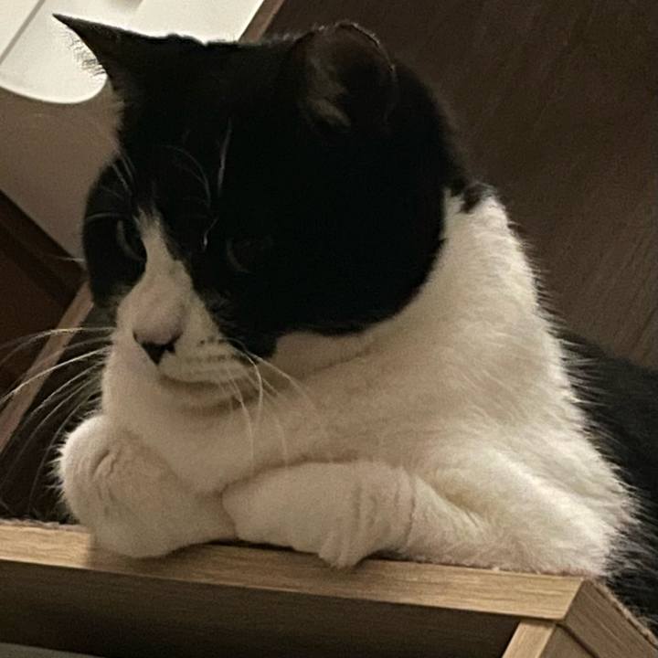 D2d90cf6 b19f 4865 9034 80f10fa78d84 1738848190947