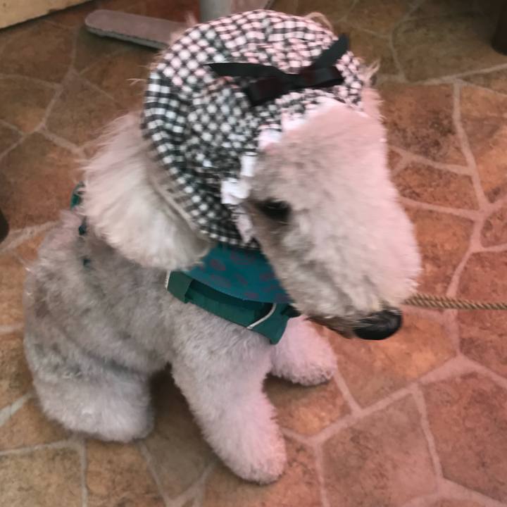 D2d93bcf f793 4407 87ff c010b61e677b 1729506688963