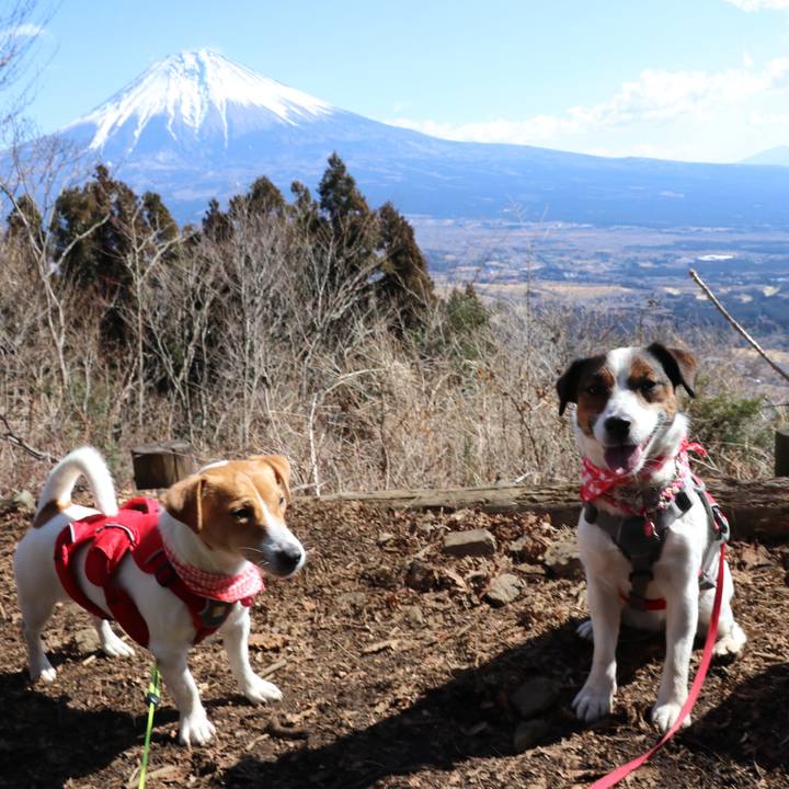 D2d9849a 2079 430b bfb1 7ae5ab42eb12 1518863322751