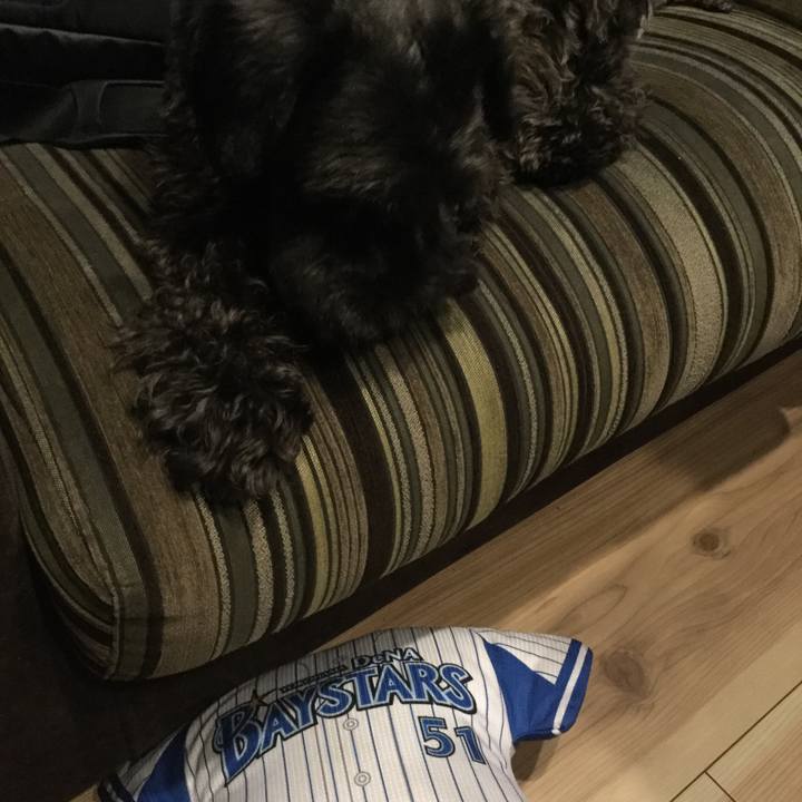 D2d99522 9416 4e59 a6f2 6ffc2bb153d7 1599736219802