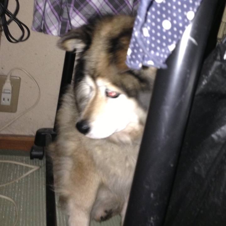 D2d9c1a8 78c2 4a9f 898c 35a0758c0aca 1554724021163