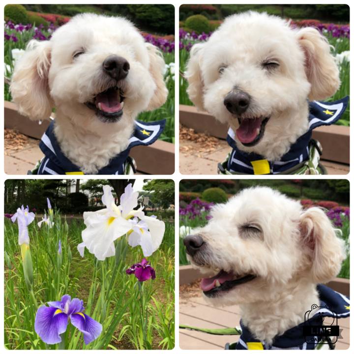 D2d9e208 8c5b 4dba bc47 39641e55901a 1527550236497