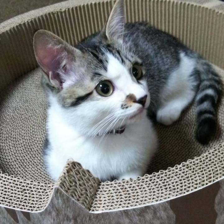 D2da2e22 92fb 457e b3a5 ee22f3fca26e 1611452842075