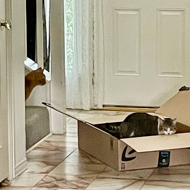 D2da4699 f660 45e3 91d8 7f7ba839878c 1769479603394