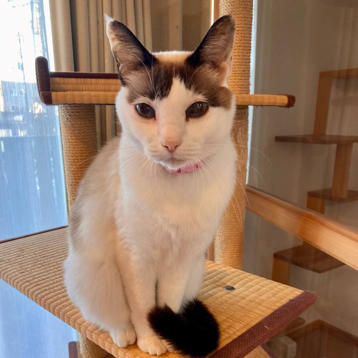 D2da65d9 474a 43bb 9337 9e736ef96b51 1640147130908