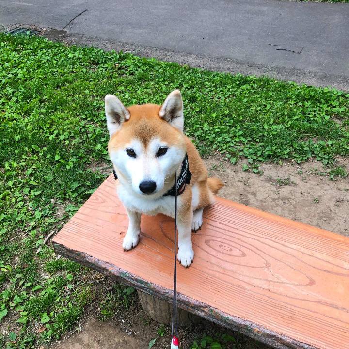 D2da71f0 5417 4a2e 888f 2f59c6b2098c 1591575238207