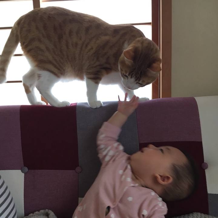 D2da8c4f 6b54 4ce5 b1fc e32a0df081c2 1524228139030