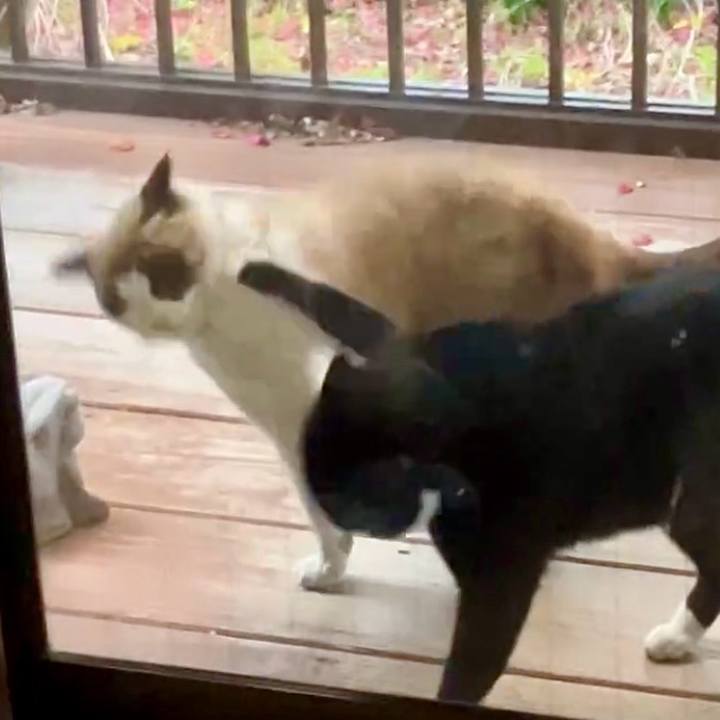 D2daa30e 03a0 4c26 9ed7 2a2a21f2a09e 1740656900724