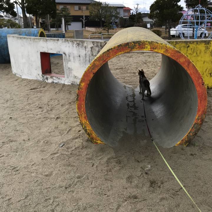 D2daa8bf fb75 4d8a 8c99 f2621c5669ed 1512705497437