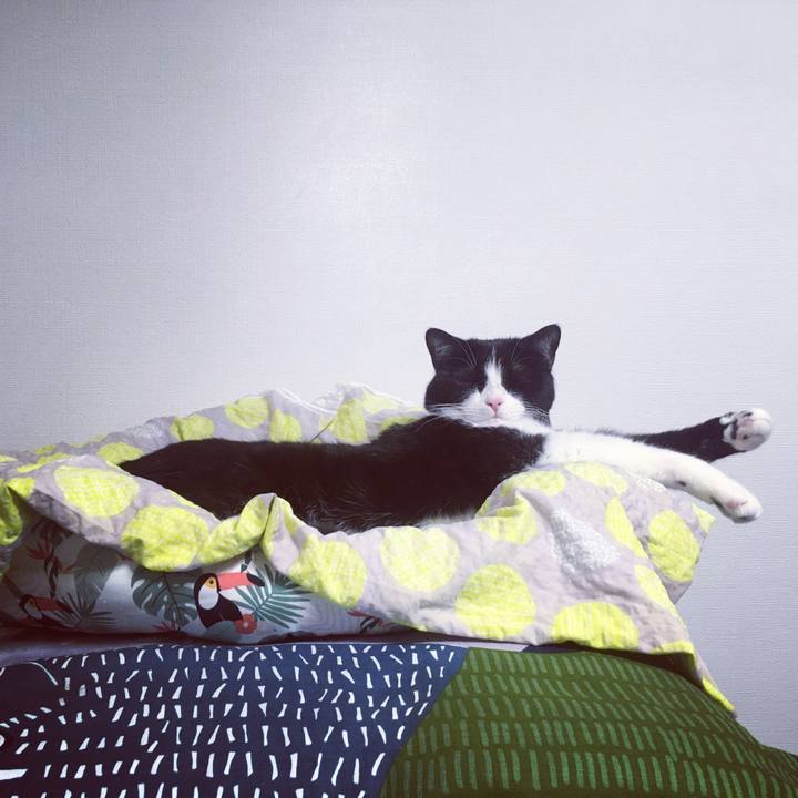 D2db3243 9045 48cb 96d6 ed053d528fc2 1591385931447