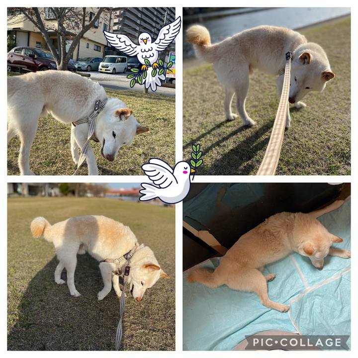 D2db68be d67c 4147 be0a 9c18b4021ca7 1647429428481