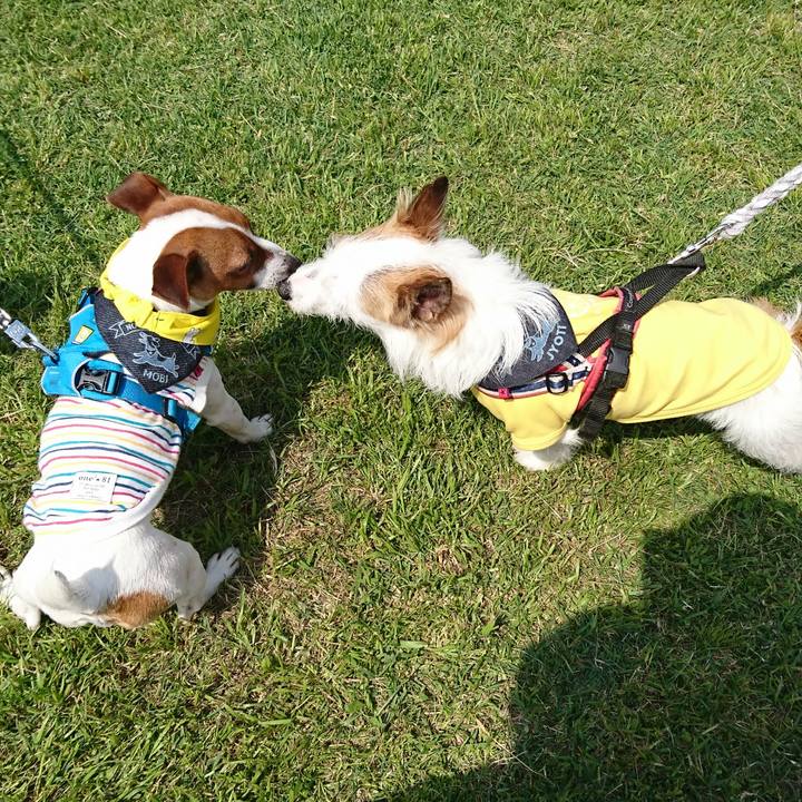 D2db71cf a3ab 40ad 94cc 59f15543f927 1556957997158