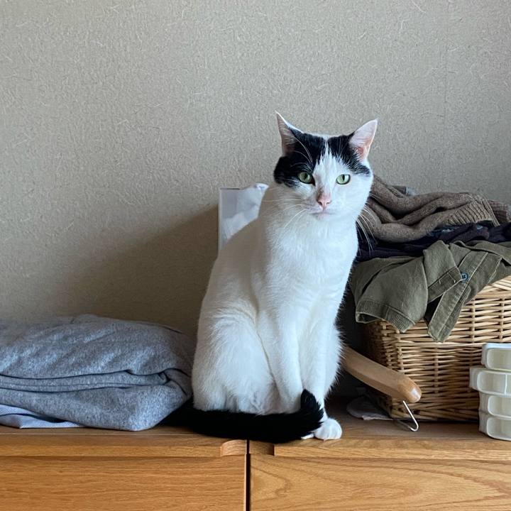 D2db8b18 8f52 4f01 a52f a43df2964ec7 1621242776450